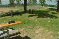 FD_2010_24