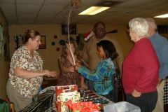 HDP_2010_11